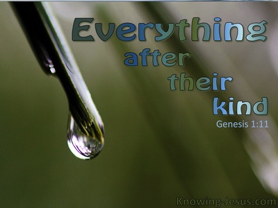 Genesis 1:11 Everything After Its Kind (green)